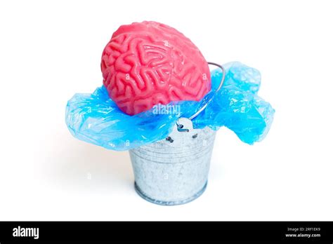 bag of brains replica|Inside the world of “superfakes”, or knock.